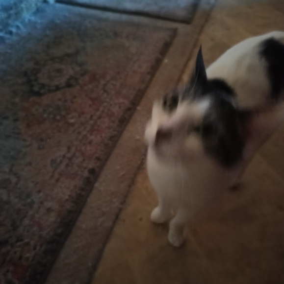 Meet your Posher, James - Picture 1 of 1